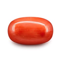 Coral Beeds